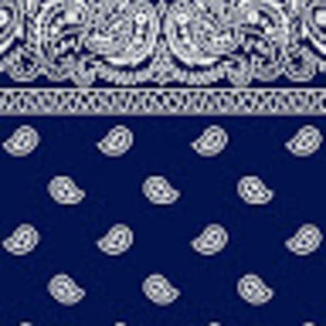 Meet your Posher, Carter